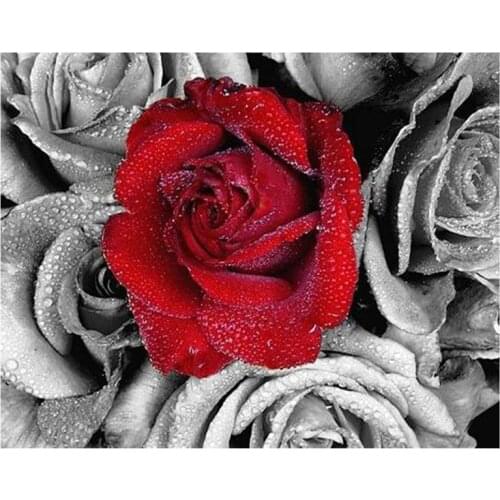 Full,Diamond Painting,rose,Red,Crystal,5D,Diamond Embroidery,Cross Stitch,3D,Mosaic,Needlework,Crafts,Christmas,white black