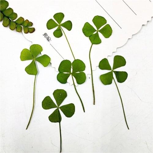 120 pcs Pressed Flower Four leaf clover Epoxy Resin Pendant Necklace Jewelry Making Craft DIY Accessories