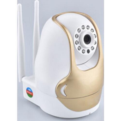 Free Video Intercom Wireless IP Camera With Alarm Function