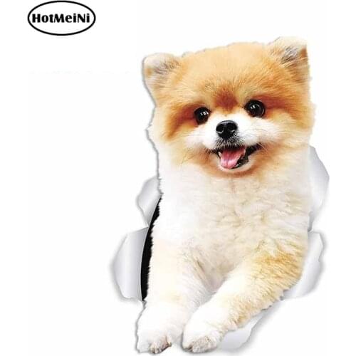 HotMeiNi 13cm x 9cm For Pomeranian Dog Fashion Car Stickers Sunscreen Decal 3D Custom Printing Occlusion Scratch Decor