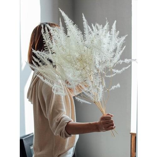 10pcs Real Plant White Dried Flower Fern Leaf Bouquet Flowers Artificial Leaves Decoration Nordic Home Wedding Decor Accessories