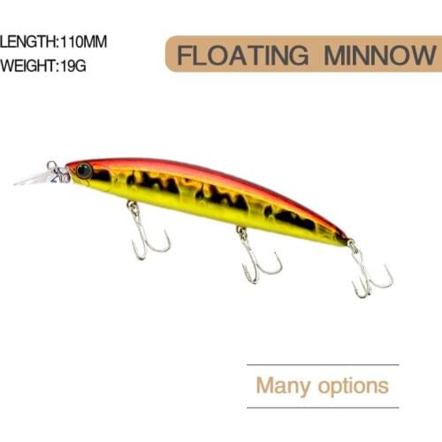 2021Floating Minnow Fishing Lure 19g 11cm Assassin Deep Diving Hard Bait Wobblers Topwater Crankbait For Sea Bass Pike