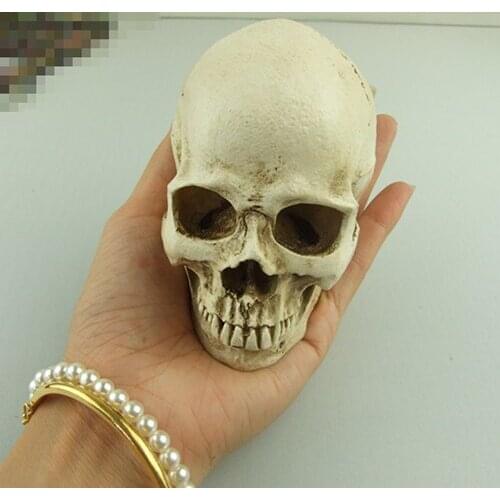 Small size Human skull model resin skull model art special specimen copy model skeleton model