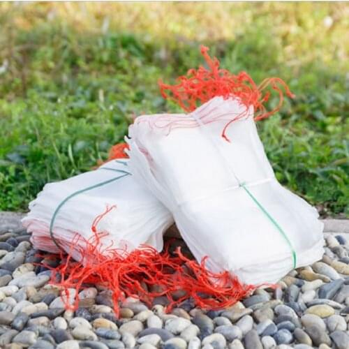 100pc Plant Fruit Protect Against Pest Bird Garden Netting Bag Nylon Drawstring For Fruits And Vegetables 15*10cm 25*15cm