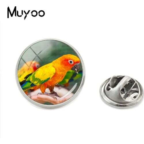 2018 Arrival Fashion Jewelry Collar Pin Brooch Lovely Colorful Parrot Birds Glass Cabochon Round Photos Butterfly Lapel Pins
