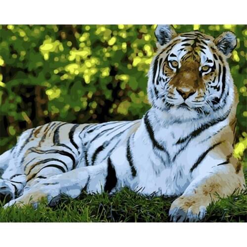 DIY Digital Painting By Numbers tiger oil painting mural Kits Coloring Wall Art Picture Gift frameless