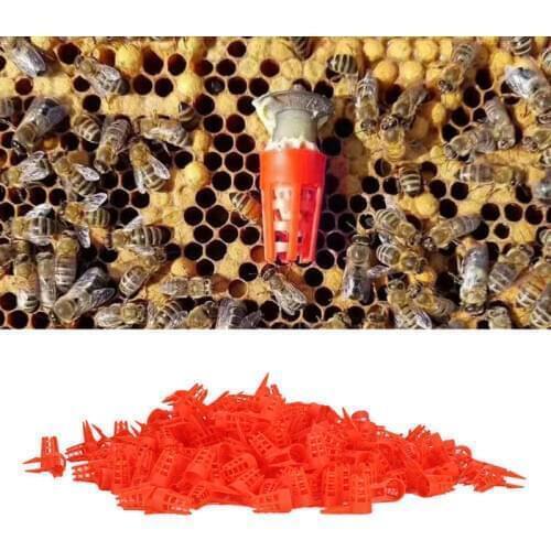 TOPINCN 250PCS Plastic Opening Bee Queens Cage Protective Cell Cover Beekeeping Tools Supplies Insects Box