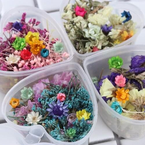 1 Box Daisy Real Dried Flower Dry Plants For Epoxy Resin Flower Leaf Molds Pendant Necklace Jewelry Making Craft Diy Accessories