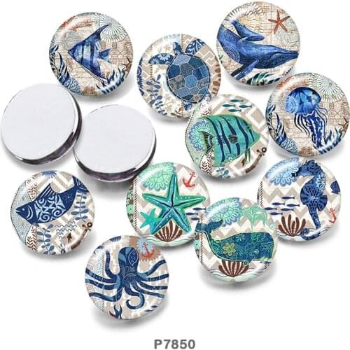 Sea animals 12mm/18mm/20mm/25mm/30mm Round Glass Cabochon Flat Back Making Findings P7850