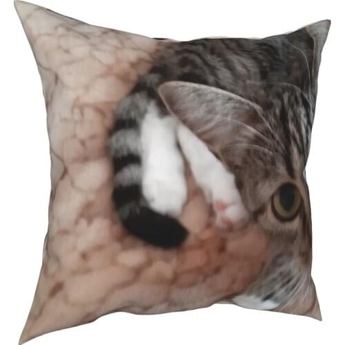 Lovely cat decorative cushion cover pet cat cushion cover 45cm linen pillow residential culture