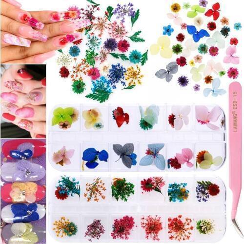 Mix Dried Flowers Nail Decorations 3D Nail Art Natural Floral Leaf Stickers Designs UV Gel Polish Manicure Tools
