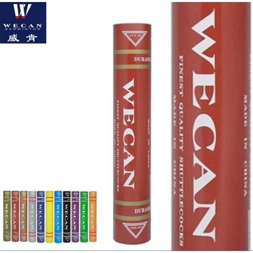 Wecan Badminton Sets