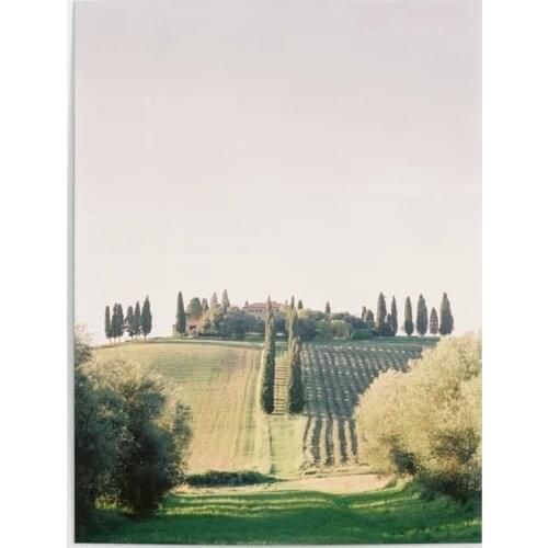 Home Decoration Hd Print Pictures Italy Travel Wall Artwork Modular Cypress Trees Tuscany Poster Canvas Painting For Living Room