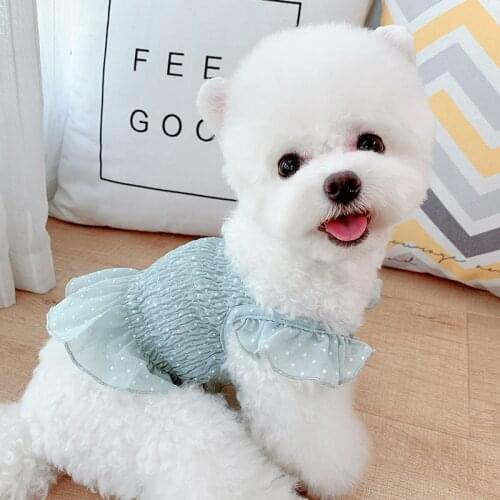 Chiffon dew navel Korean version ins pet dog cat princess skirt teddy than bear clothes small dog summer thin