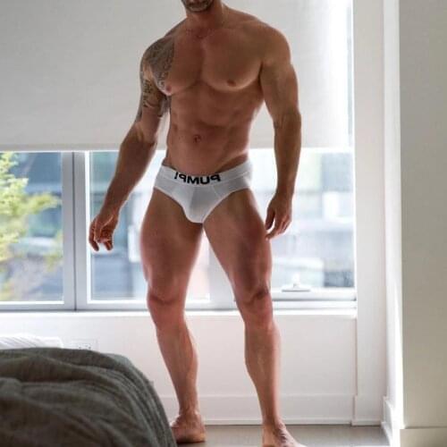 Comfortable Sexy Underwear Men Briefs Gay Man Underpants Cotton Mens Underware Mesh Male Panties Cuecas Masculinas Hot Sale