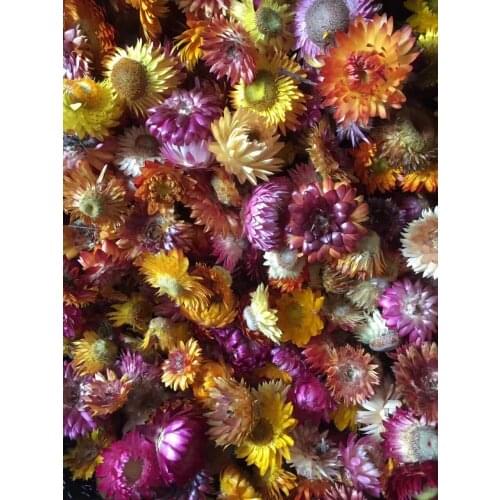100g Dried 3-4cm Daisy Head Flower For Wedding Party Home Hotel Decoration DIY Bouquet Project Accessory