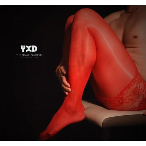 2 Pcs/2 in 1 Lace Sexy Men Stockings 912PIN U Convex Pouch Plus Size Oil Shiny Underwear Panties Stocking Sexy Tight Pantyhose