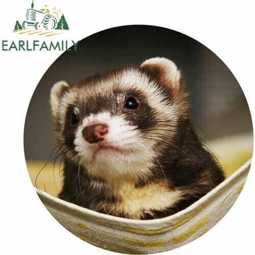 EARLFAMILY 13cm x 13cm for Ferret Hammock High Quality Car Stickers Occlusion Scratch Waterproof Vinyl Personality Decal