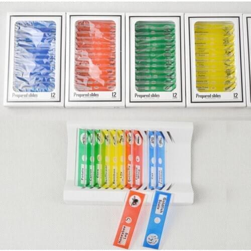 HOT SALES!!! 12Pcs DIY Specimen Microscope Slides Children Biologyed Scientific Educational Toy