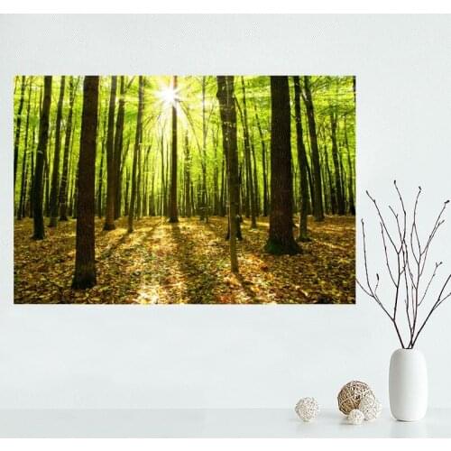 Nice Custom Forest Canvas Poster Print painting Art Wall Silk Poster cloth print DIY Fabric Poster Y.68