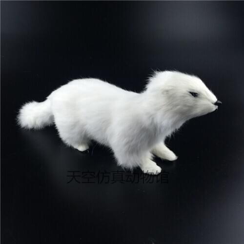 Creative simulation comadreja toy polyethylene & furs white comadreja model gift about 28x12x7cm 0708