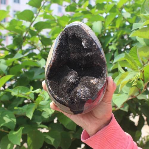1980g Natural curvature of the furnishing articles Turtle grain stone egg Ball Septarian nodule Fossil Crystal Healing quartz
