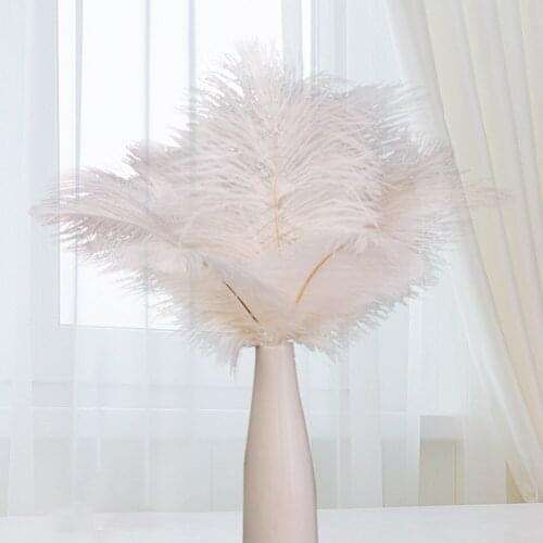 10 Pcs Elegant Ostrich Feather White Black Fluffy Feather for Wedding Party Home Room DIY Decorations 15-20cm/25-30cm/30-35cm