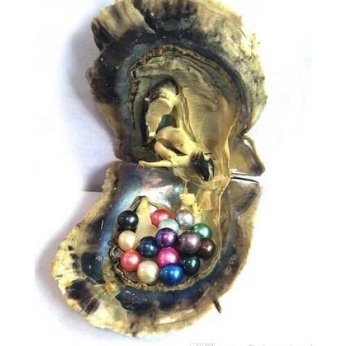 Seawater Natural Cultured Pearls in Oyster Pearl Mussel Farm Supply 20pcs Akoya Pearl Oyster 2018 big Round 6-7mm Colored ABH815