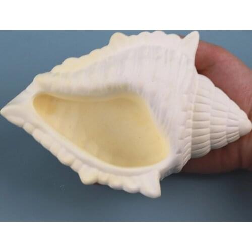 2021 New Shell Shape Concrete Flowerpot Mould Large Conch Design Succulent Planting Container Cement Silicone Molds