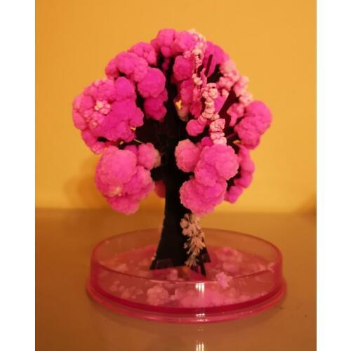90mm Pink Desktop Cherry Blossom Cool ThumbsUp Magic Japanese Sakura Tree Brand Newly Made in Japan Growing Paper Trees Kids Toy