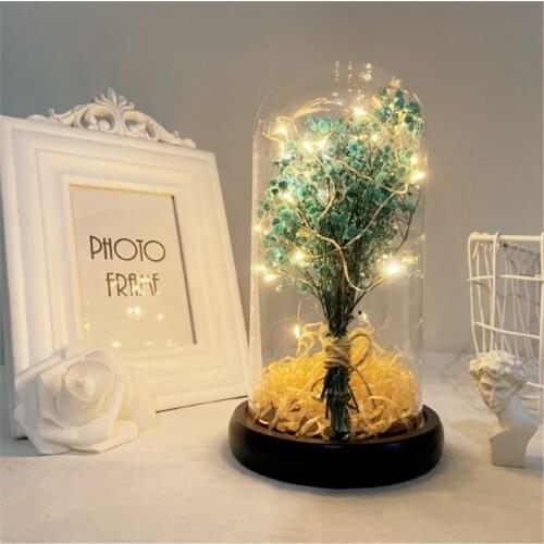 LED Night Lamp Wedding Party Window Home Indoor Decoration Dried Babysbreath Flower in Glass Dome Fairy Copper String Lights