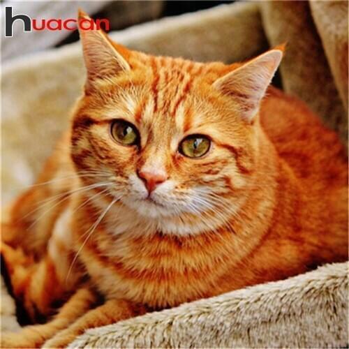 Huacan 5D Diy Diamond Painting Orange Cat Decoration Painting With Diamonds Embroidery Mosaic Animal Home Decor