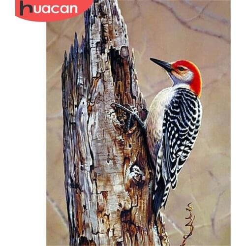 HUACAN 5D Diamond Painting Bird Full Square/Round Drill Diamond Embroidery Cross Stitch Animal Home Decor Mosaic Handmade Gift