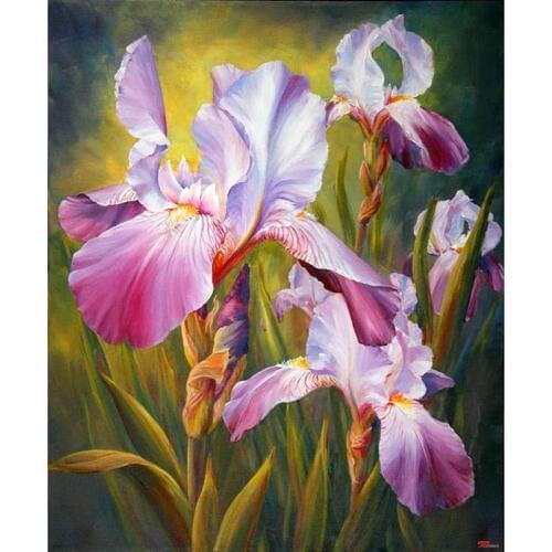 Plant Butterfly iris Flower,diamond painting 5d pictures kits,cross stitch diamond embroidery, diamond mosaic A6997R