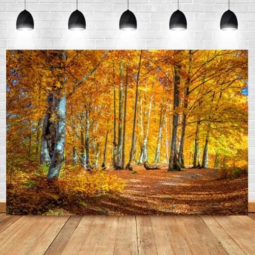 Natural Backgrounds For Photography Autumn Tree Maples Fallen Leaves Park Scenic Photo Backdrop Photocall Photo Studio