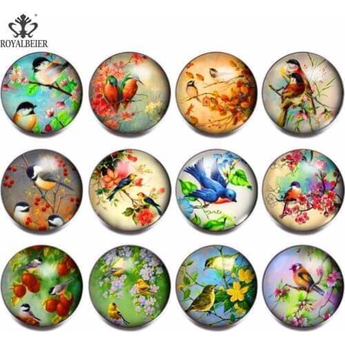 RoyalBeier 12pcs/lot Bird Snap Button 18mm Glass Snaps Button Jewelry Animal Charms Fit DIY Bracelet Necklace Snaps Jewelry