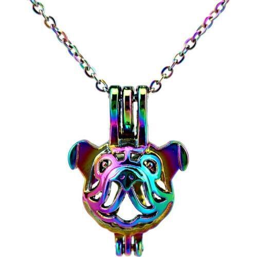 C703 Rainbow Color Shar Pei Cage Pendant Locket Aroma Essential Oil Diffuser Locket Necklace