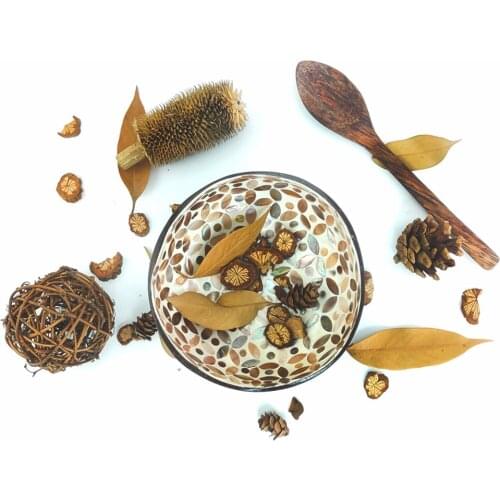 Natural Coconut Bowl Set Eco-Friendly Conch Sell Storage Bowl Organic Coconut Shell Handcraft Inner Coating Coconut Bowl