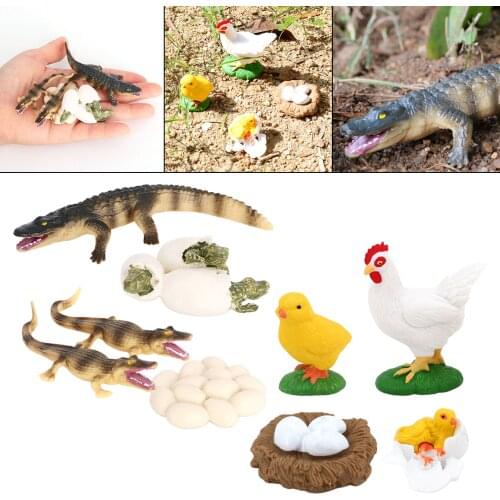2 Set Insects Growth Life Cycle Figures Education Toy Role Play Themed Party