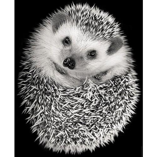 Full Drill Diamond Painting "Animal hedgehog" DIY Picture Of Rhinestone 5D Diamond Embroidery Cross Stitch Decor