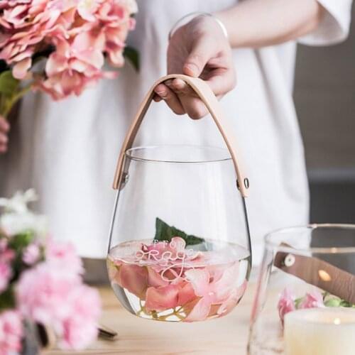 Transparent Flower Vase Borosilicate Glass Hydroponic Vase Tabletop Ornaments Flower Container Plants Holder wiith Handle