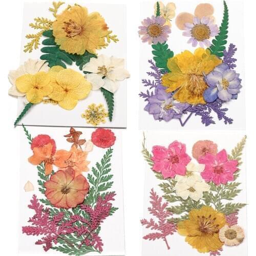 1 Box Dried Flower Plant Resin Molds Aromatherapy Candle Pressed Flower Epoxy Resin Molds For DIY Jewelry Making Nail Art Decals