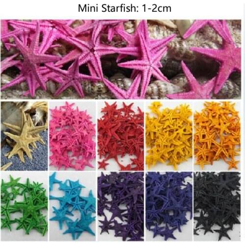100pcs Colorful Natural 1-2cm Starfish For Moss Terrarium Home Desktop Decor/Crafts/Bonsai/Doll House/Miniatures