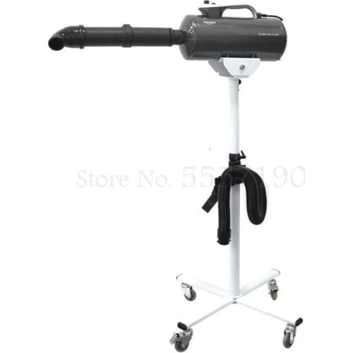 Double Motor Pet Shop Water Blower Cat And Dog High-power Drying Hair Pulling Machine Large Dog Blower Car Hair Dryer