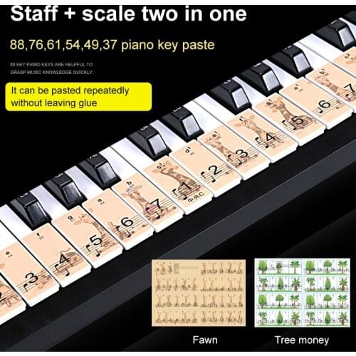 88/76/61/54/49 Key Piano Keyboard Childrens Cartoon Sticker Electronic Piano Hand Roll Piano Key Sticker Stave Phonetic Sticker