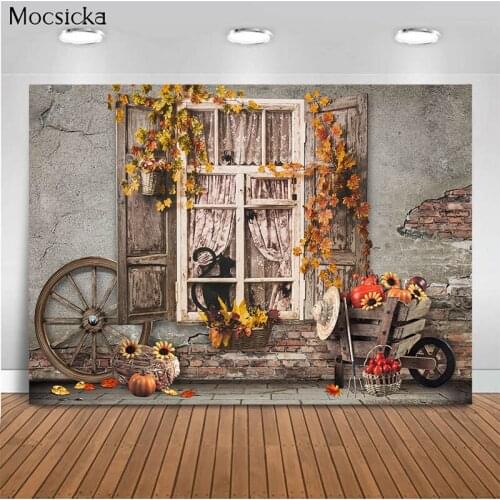 Vintage Background Run-Down Window Kitten Background Decoration Style Child Portrait Photo Background Photography Studio