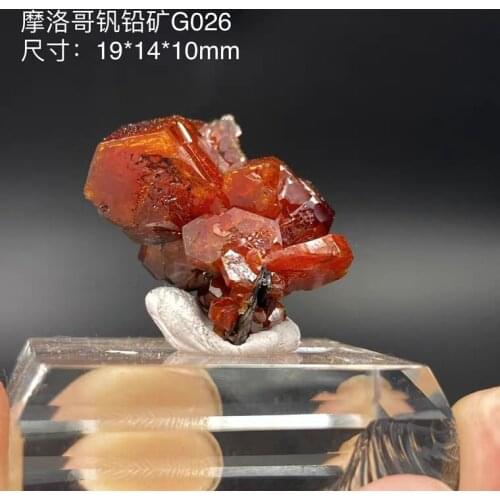 Morocco vanadinite foreign natural fine ore mine mark Kistler send specimens of the original stone collection box 08