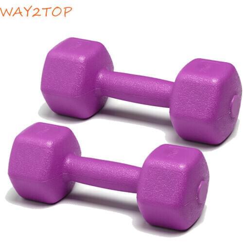 WAY2TOP 2pcs Bone-shaped Dip Cast Iron Aerobics Dumbbells Aerobic Exercise Weight Training Equipment for Unisex