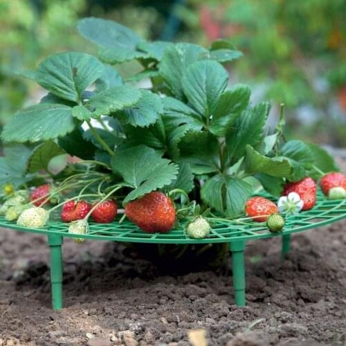 5/10/20 PCS Strawberry Stand Frame Holder Balcony Planting Rack Fruit Support Adjustable