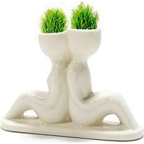 X lovers grass couple white people plant wedding gifts Valentines Day gift good gift promotion